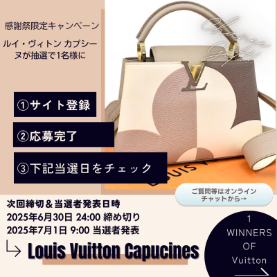 クラファンウーマン-ルイビトンバッグプレゼント